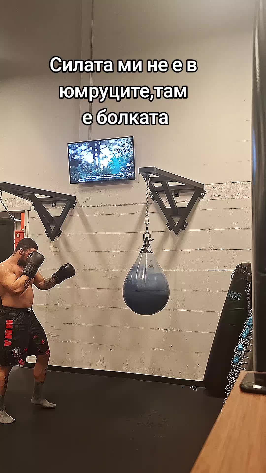 @Kolyo LaloWski