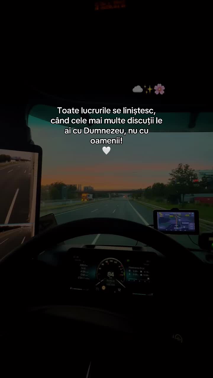 @Elisa A🥥