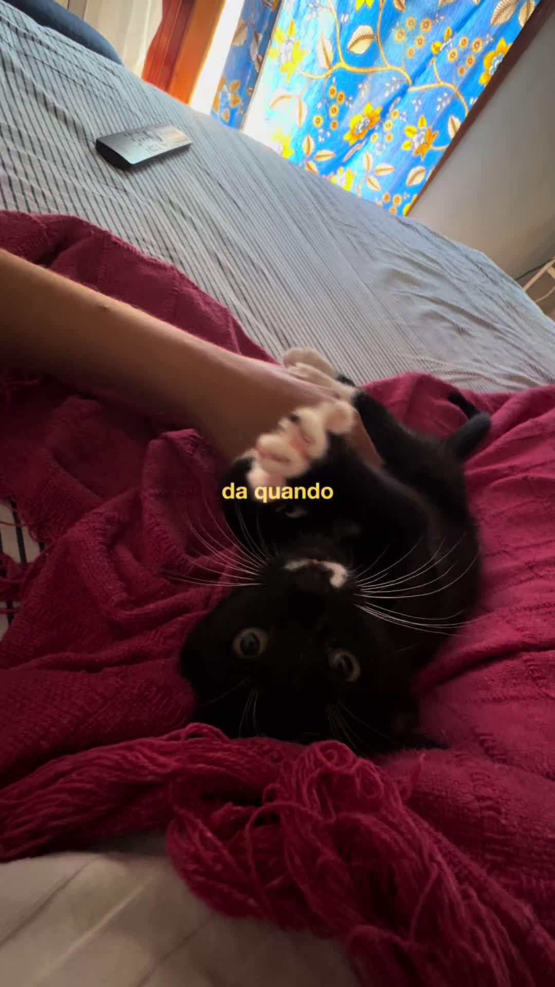 @Beatrixis_