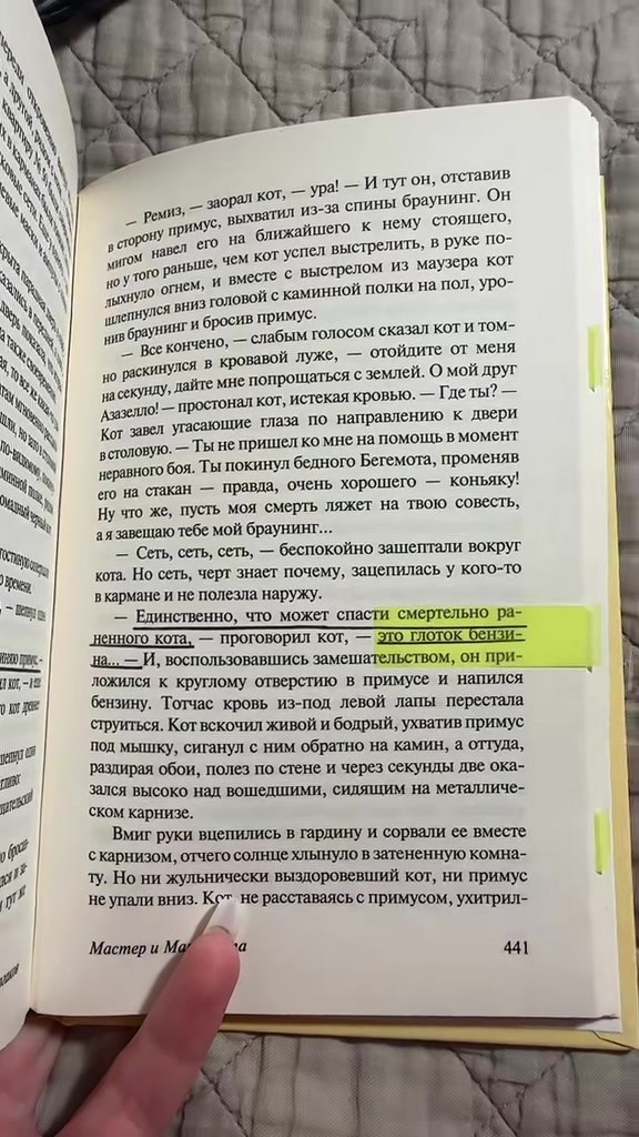 @книжная тётя
