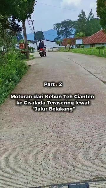 @Deddy M