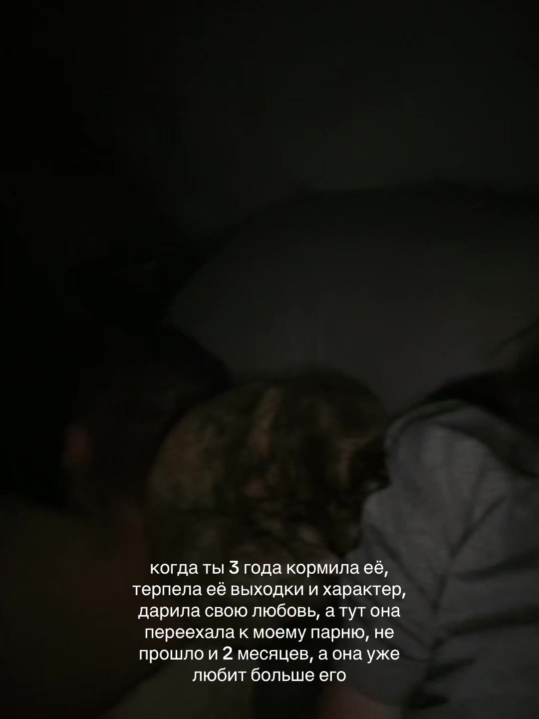 @полтос