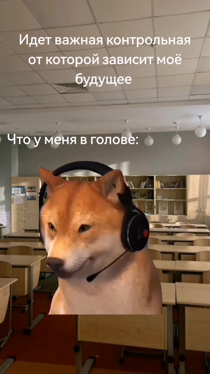 @shutnik