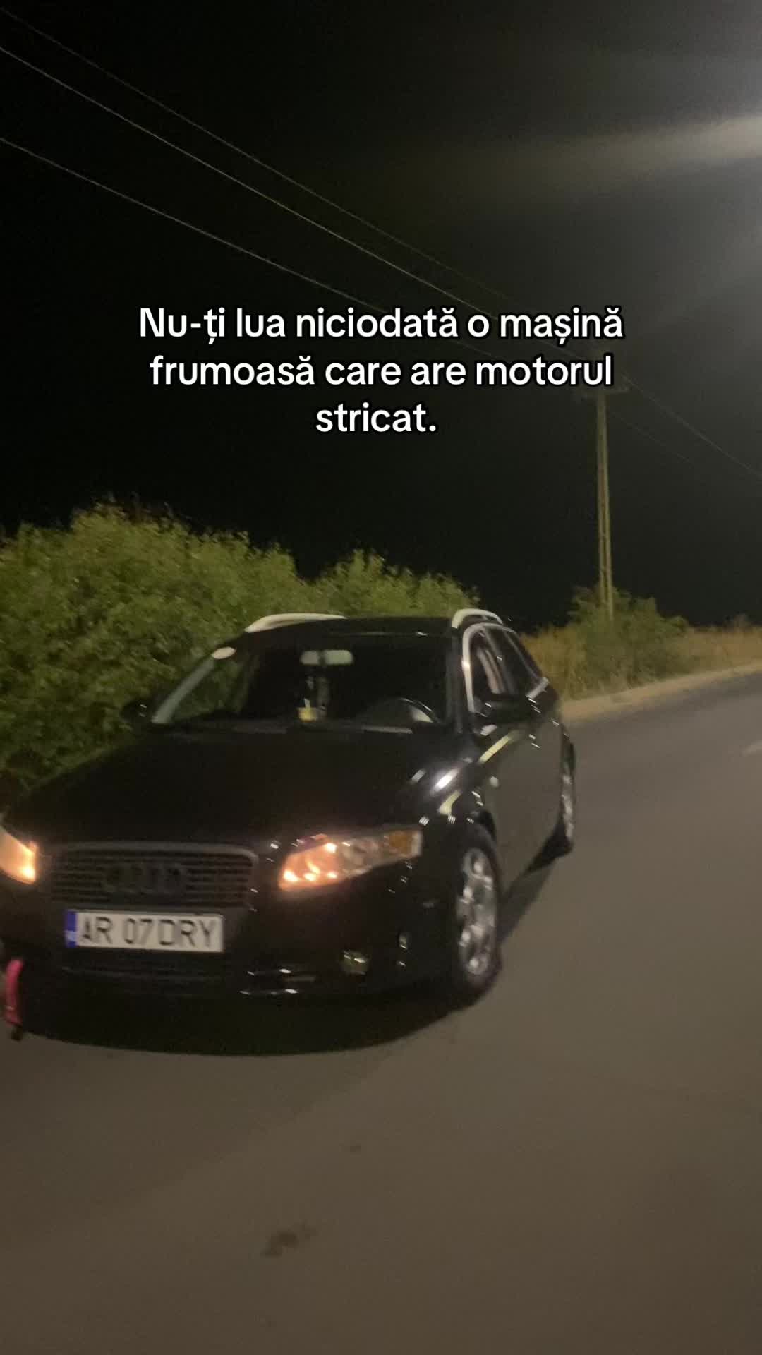 @dori trif