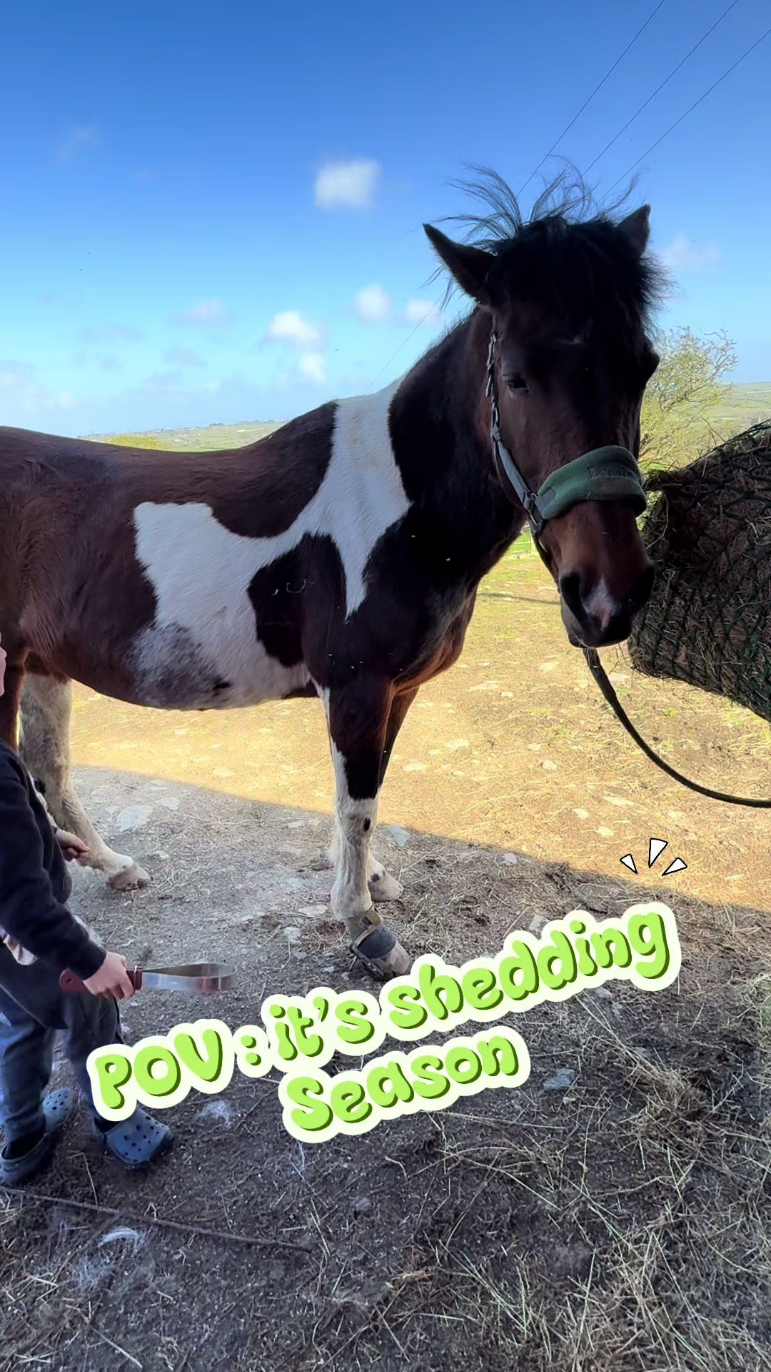 @sammie & Lila 🐴🌸