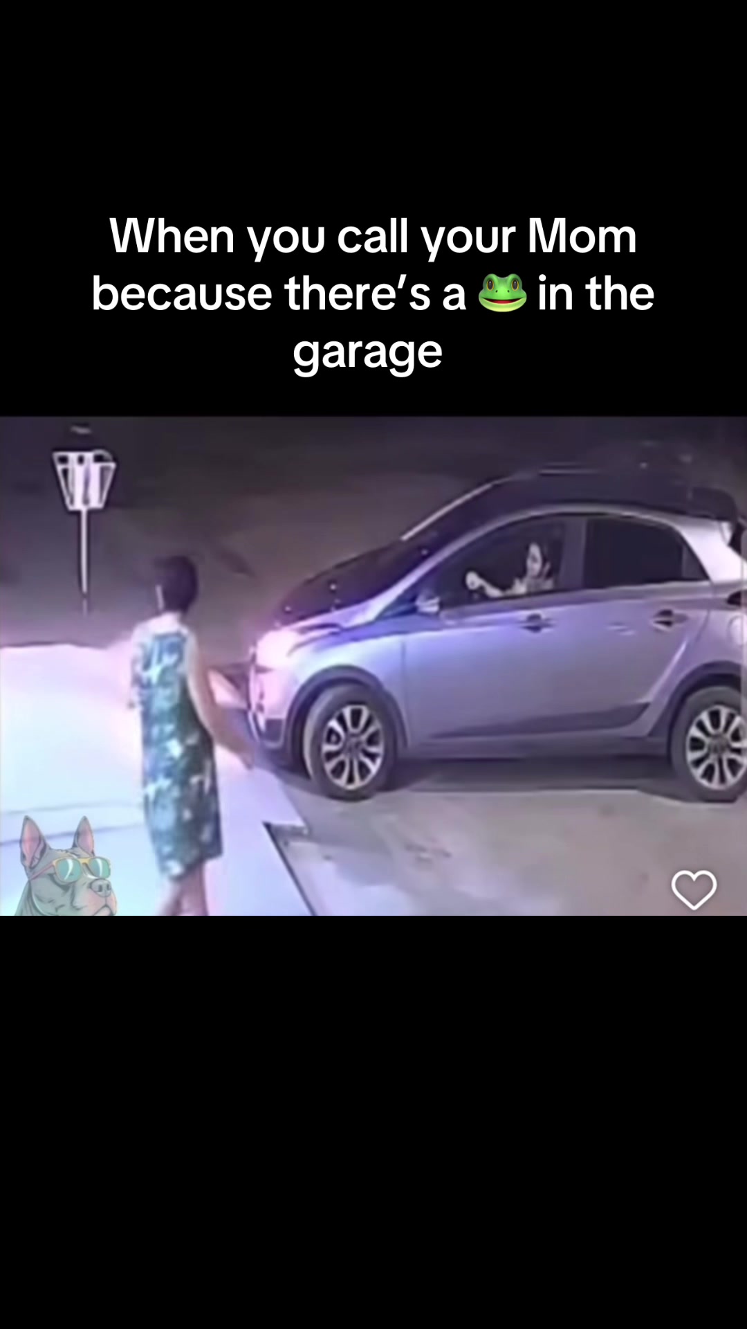@JustaFlyonDaWall