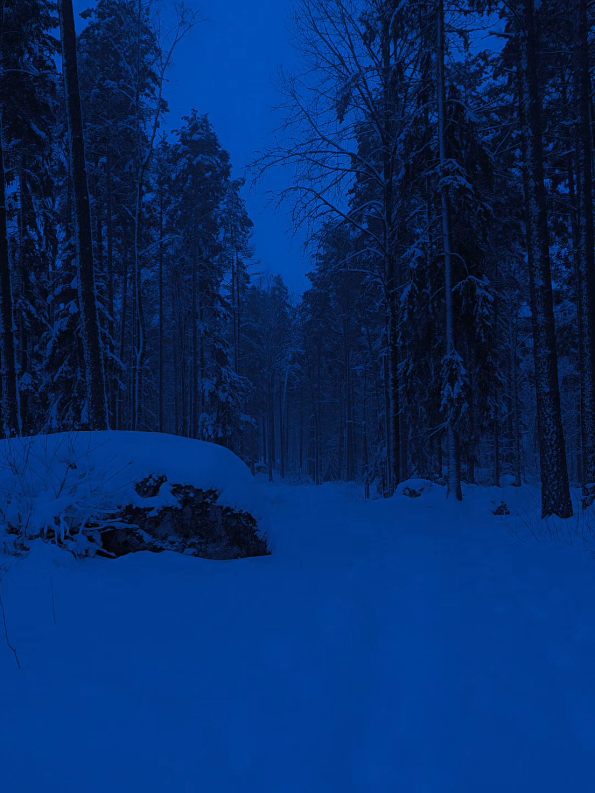 @coldvisions1