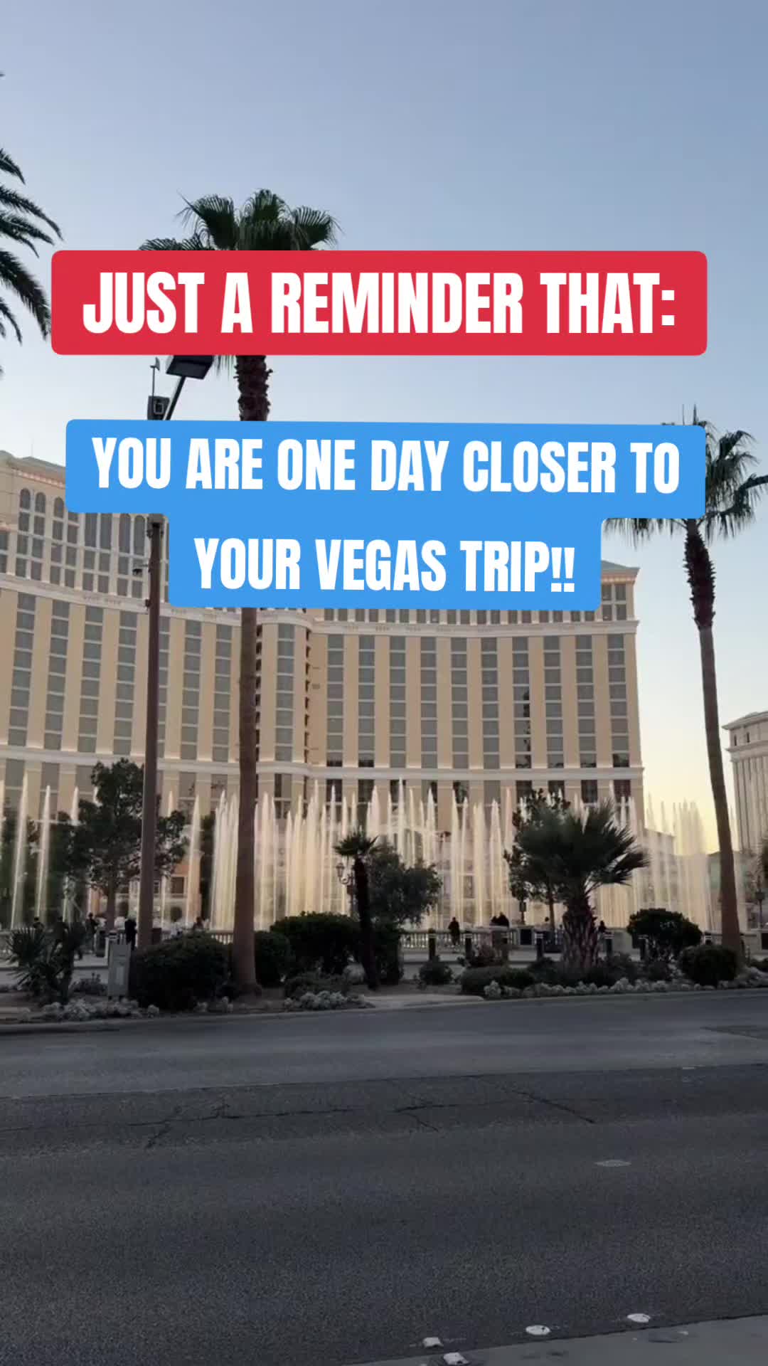 @Las Vegas Vibes