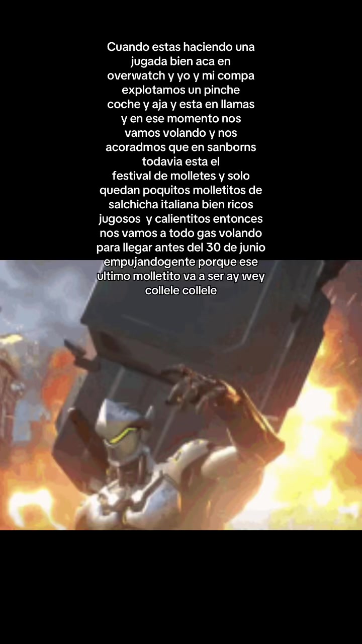@genjichivista