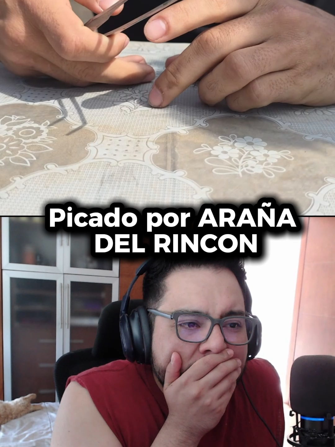 @Alexelbroo Gaming