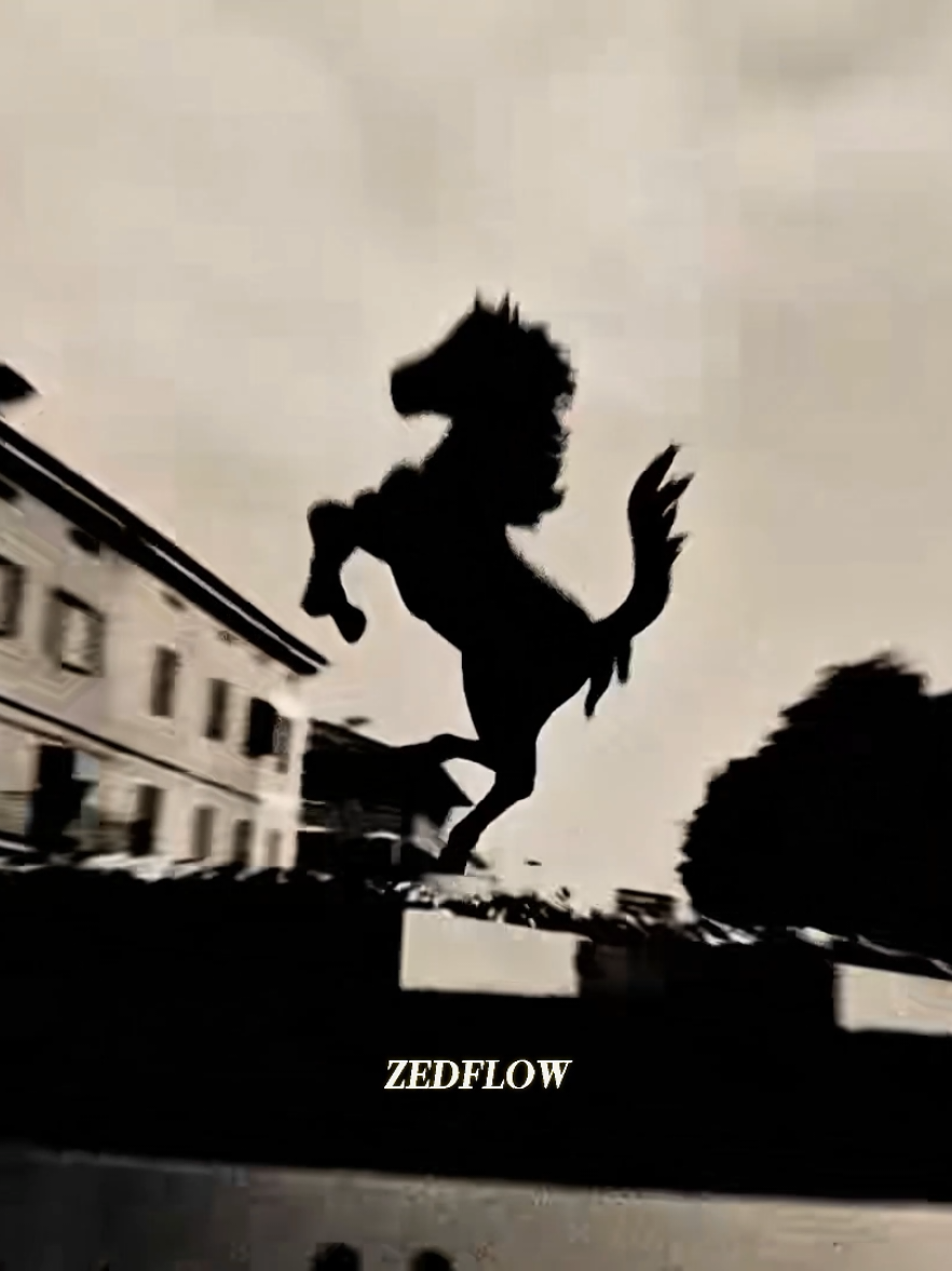 @ZedFlow