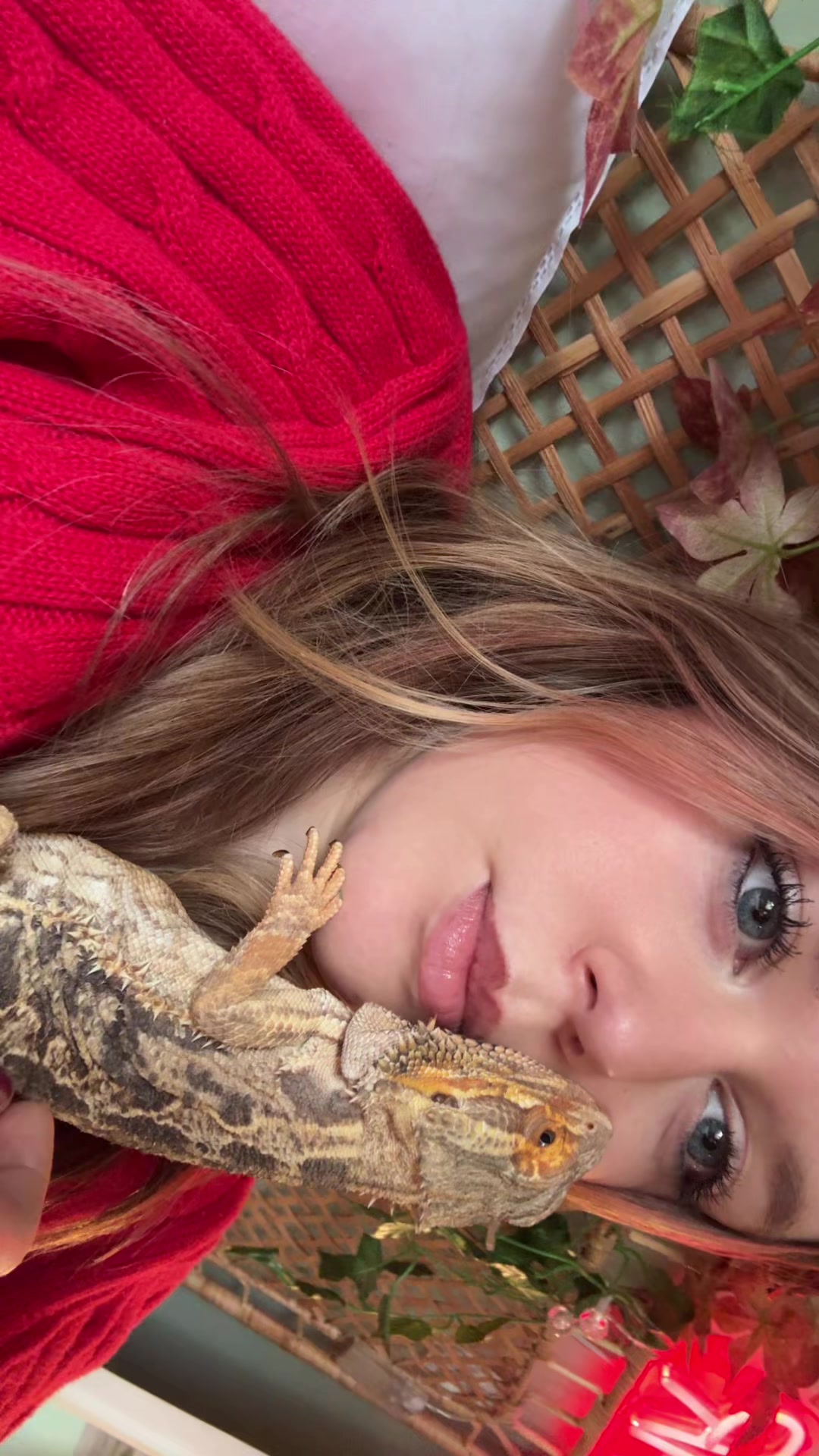 @nathaniels_pet