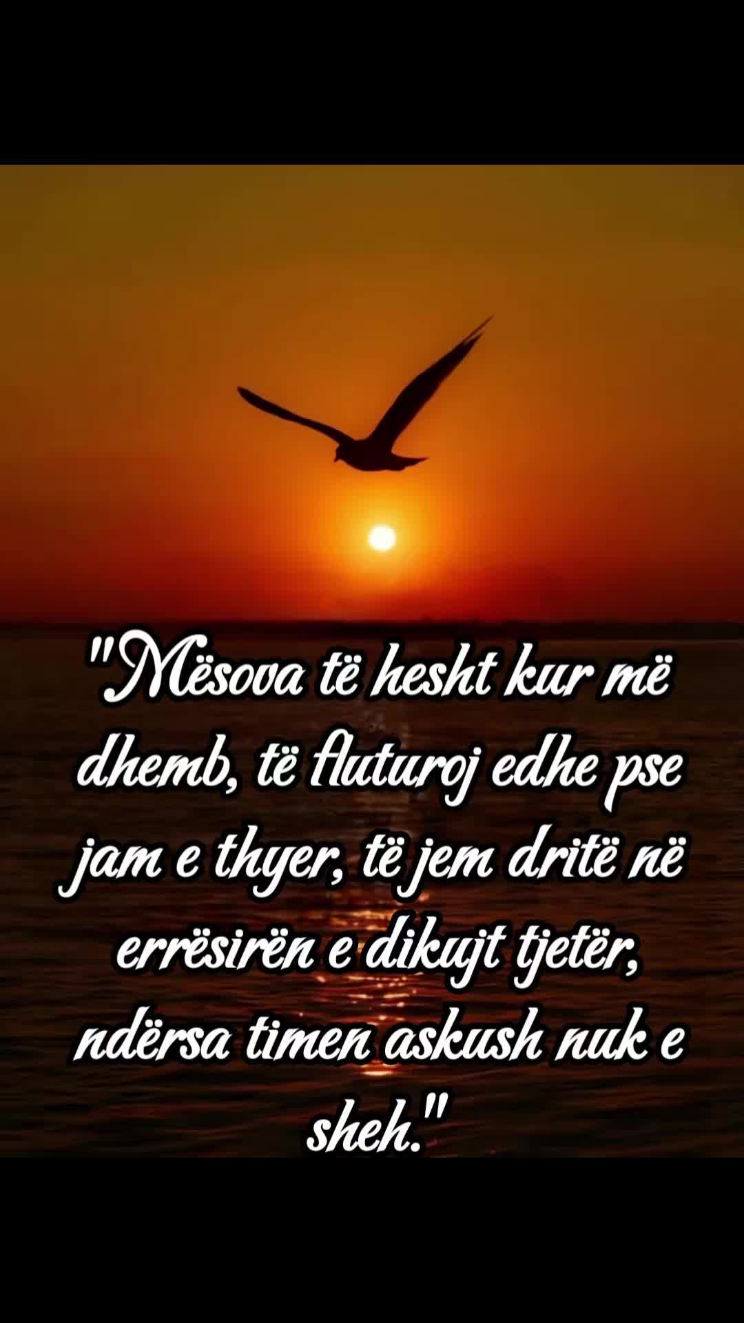 @tijatija