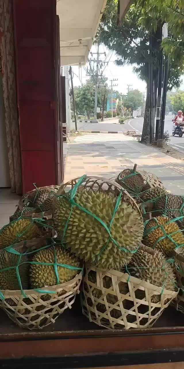 @Kenzhi Durian Tuban