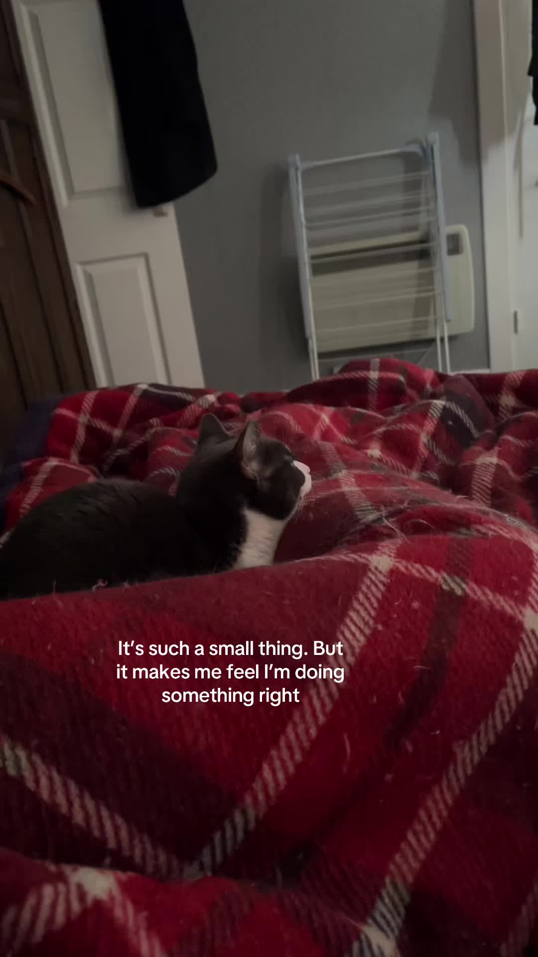 @Mitch (NotChief)