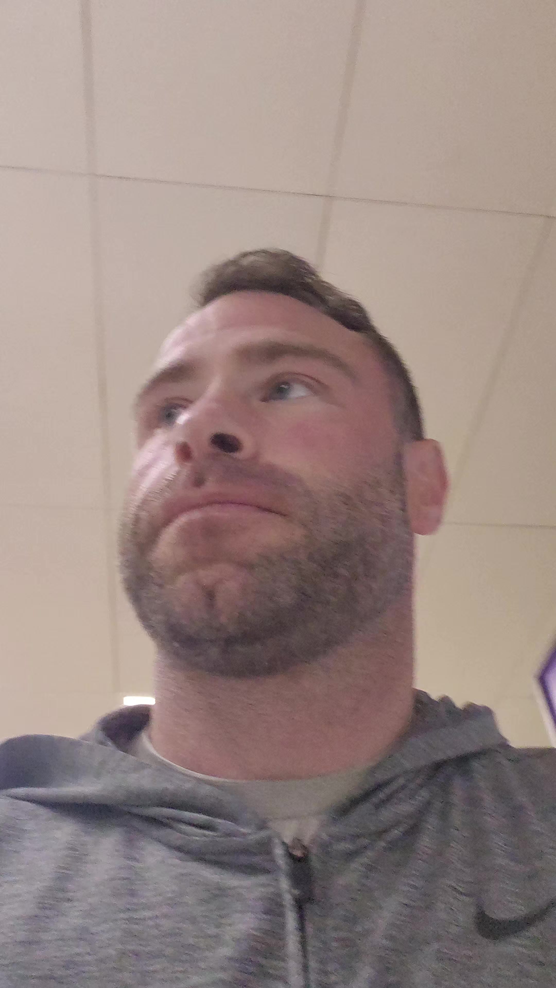 @the_baby_silverback
