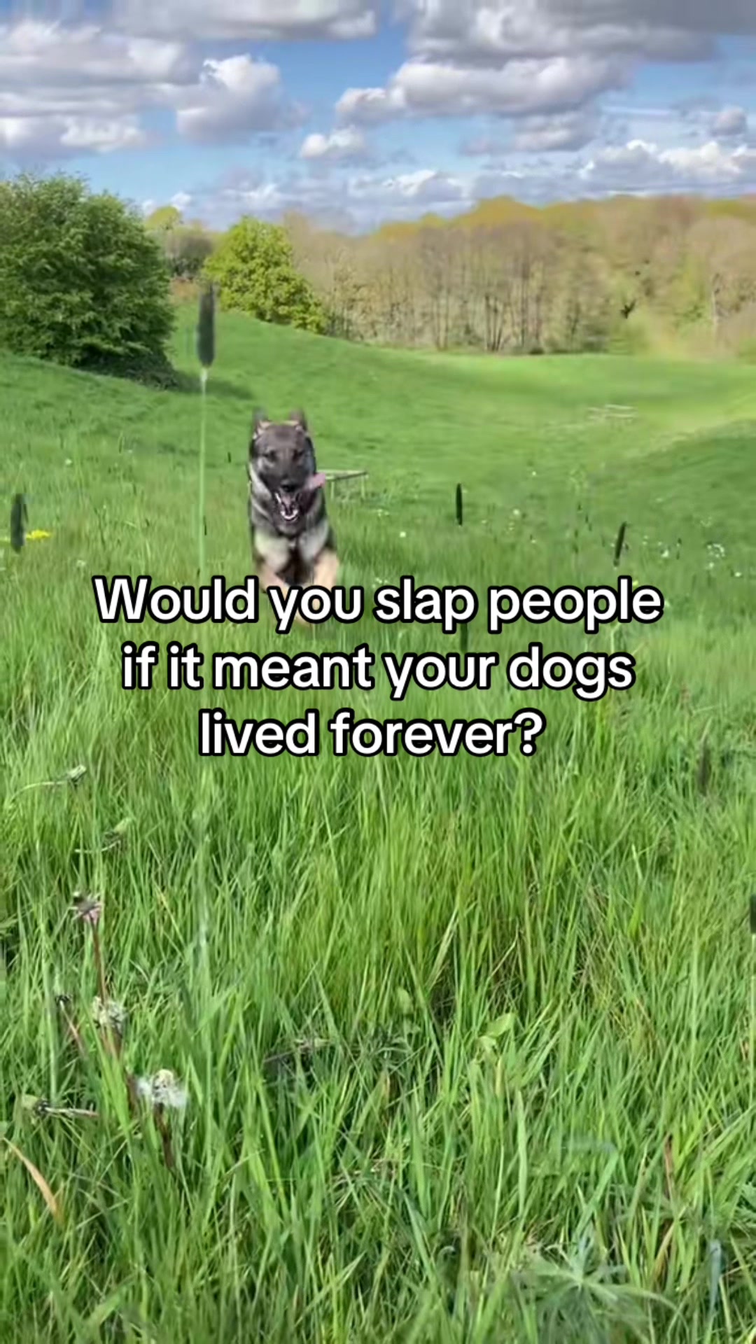 @Crazy GSD Lady