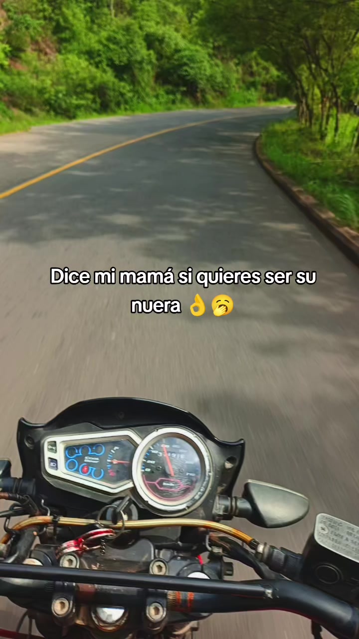 @Ivis 1602🥺