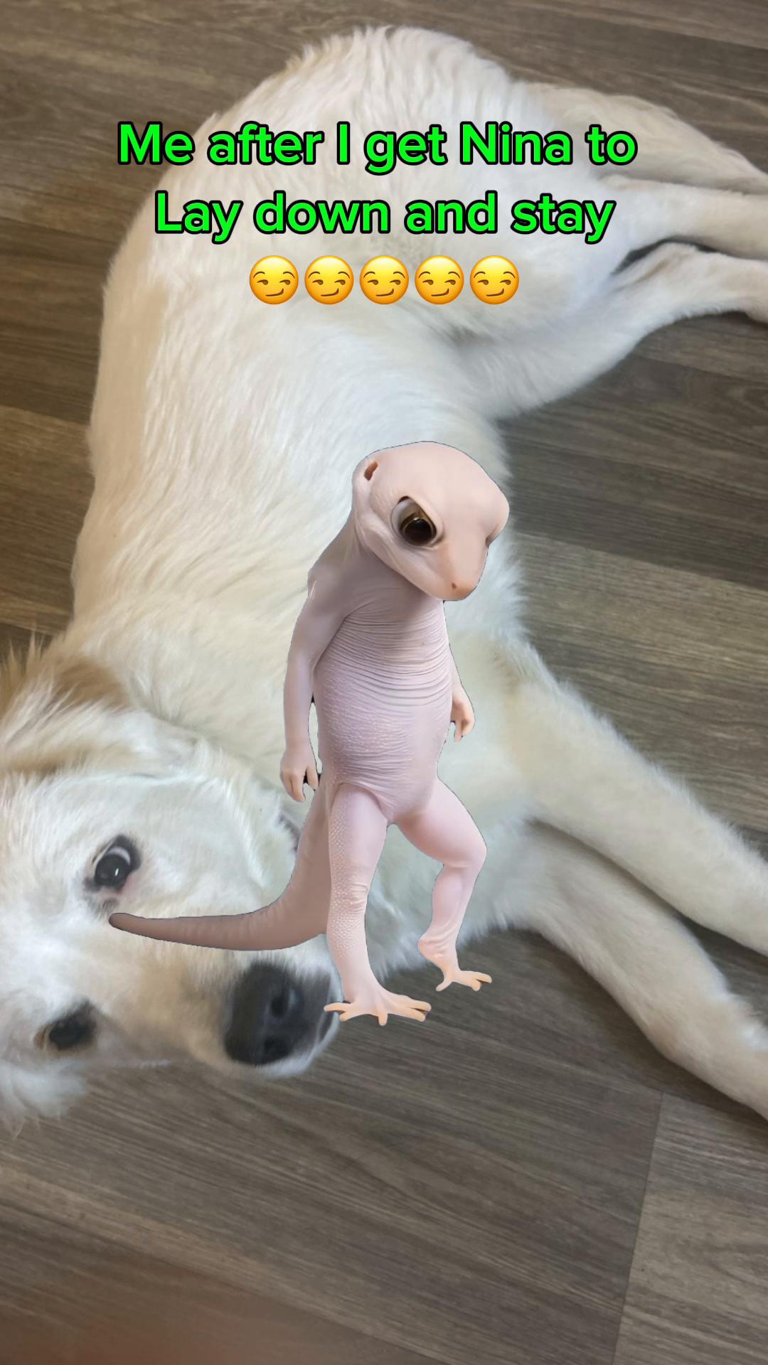 @rdemhated