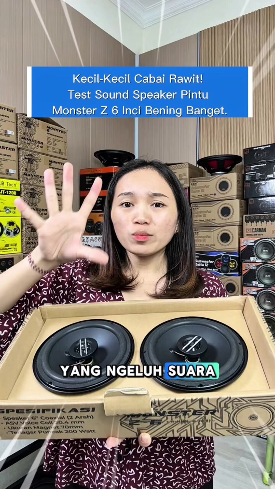 @JV Monster Car Audio Store