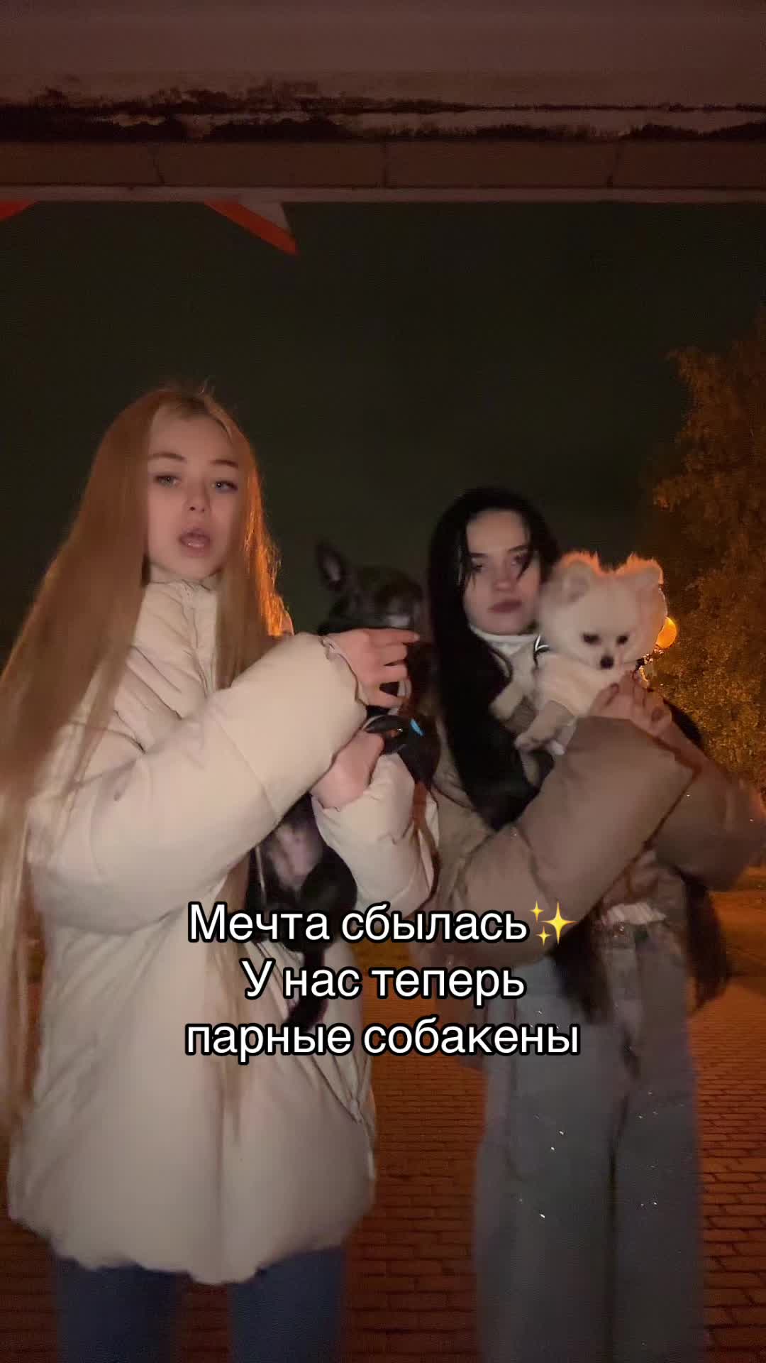 @ｓｎｏｗ ｖａ́ｒ