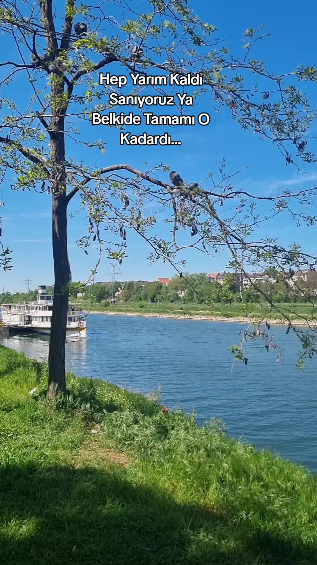 @Ay__nature