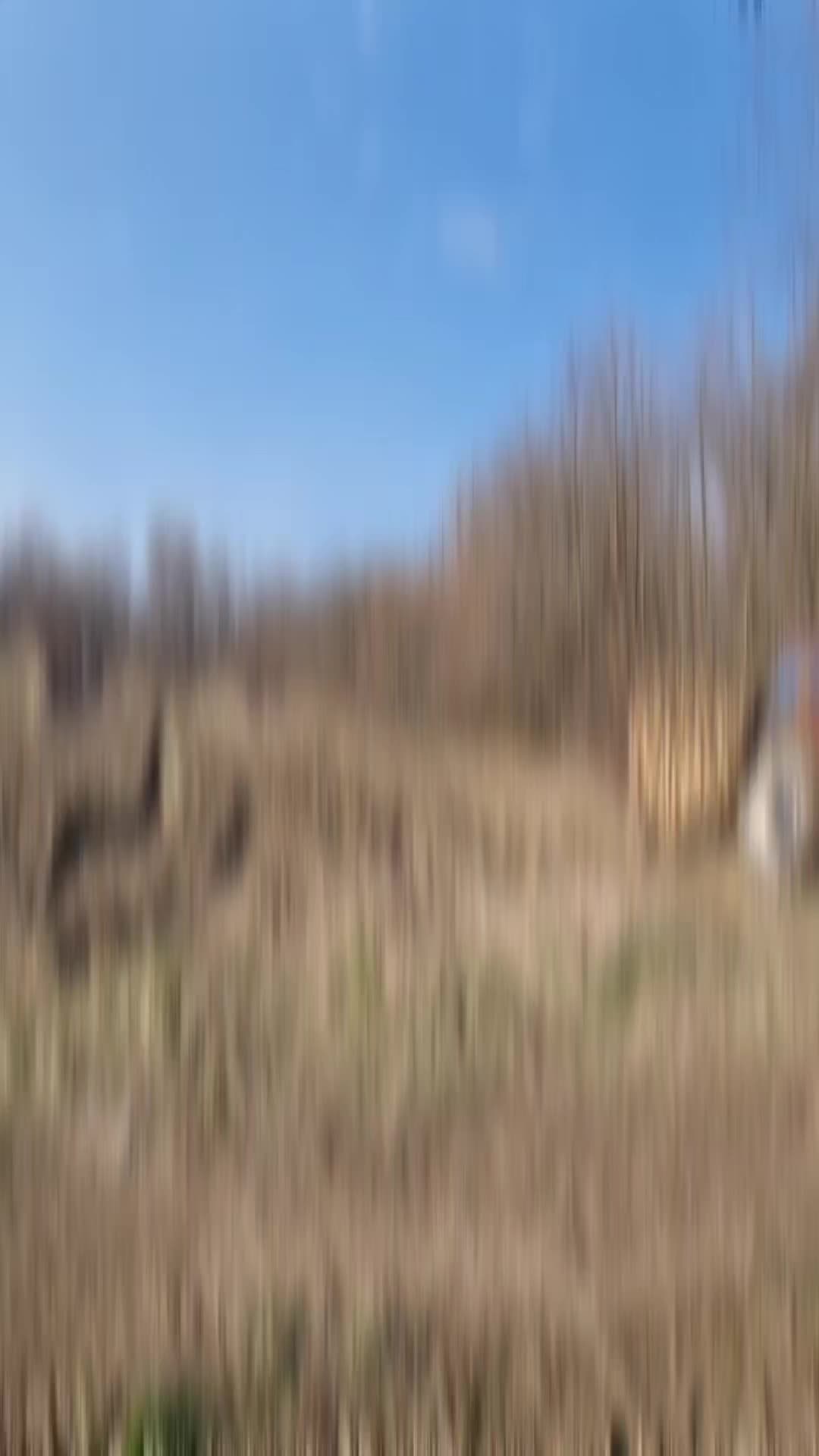 @LugoFX