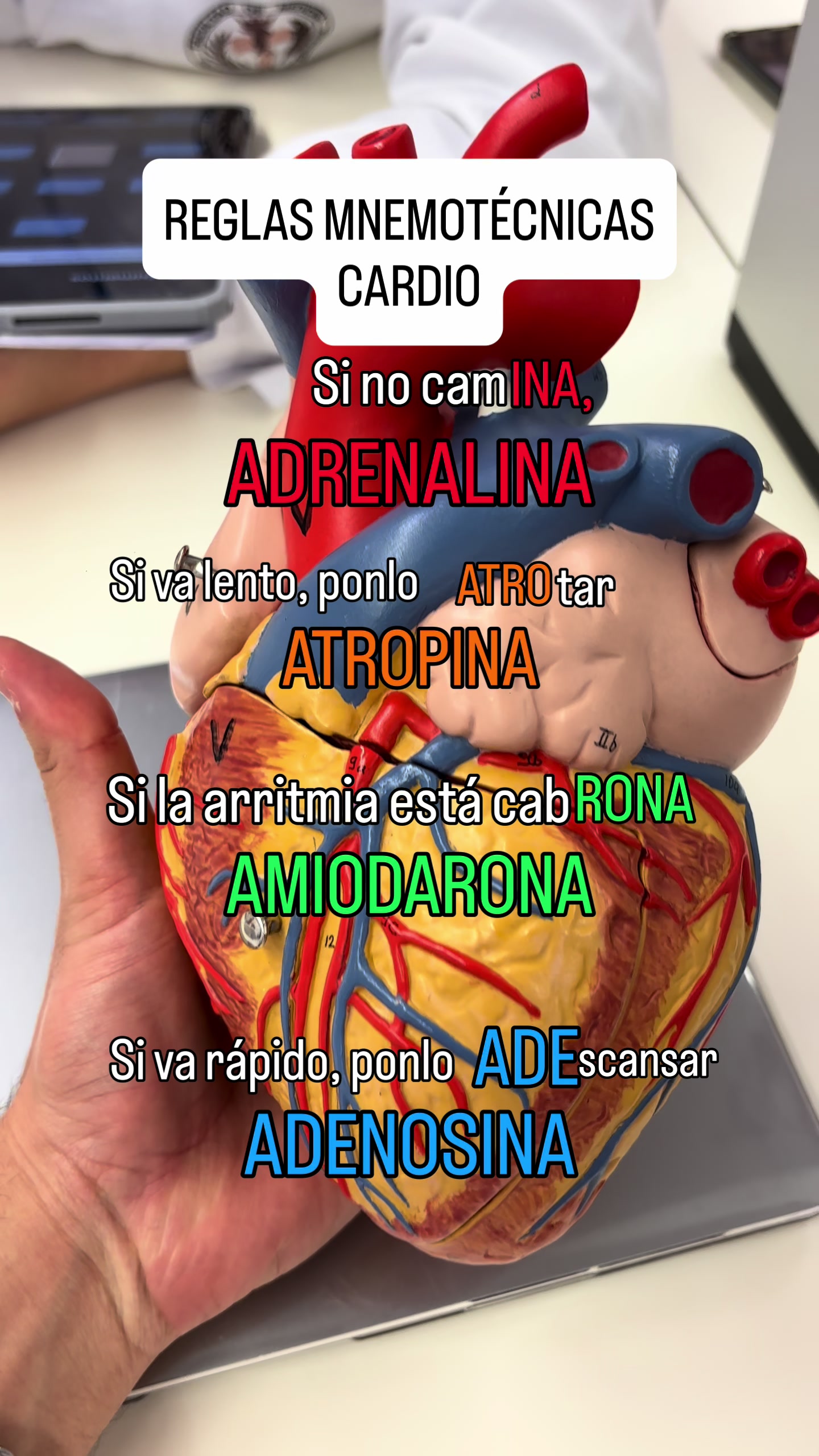 @miguelfernandezmed