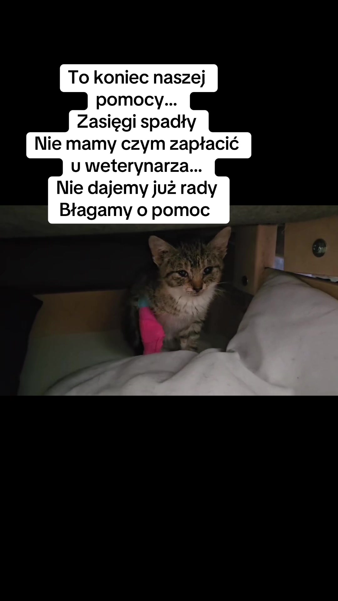 @Ratujemy