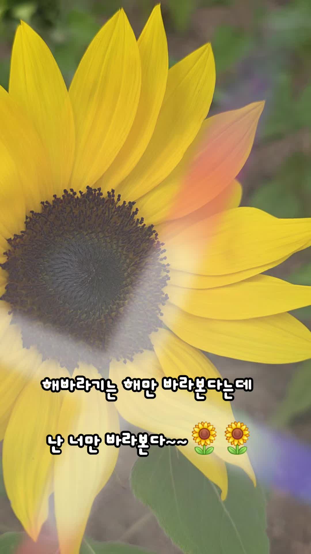 @๐ ๋ฐ๋ณด๋ฅผ์ฌ๋ํ์ธ๋ณด ๐
