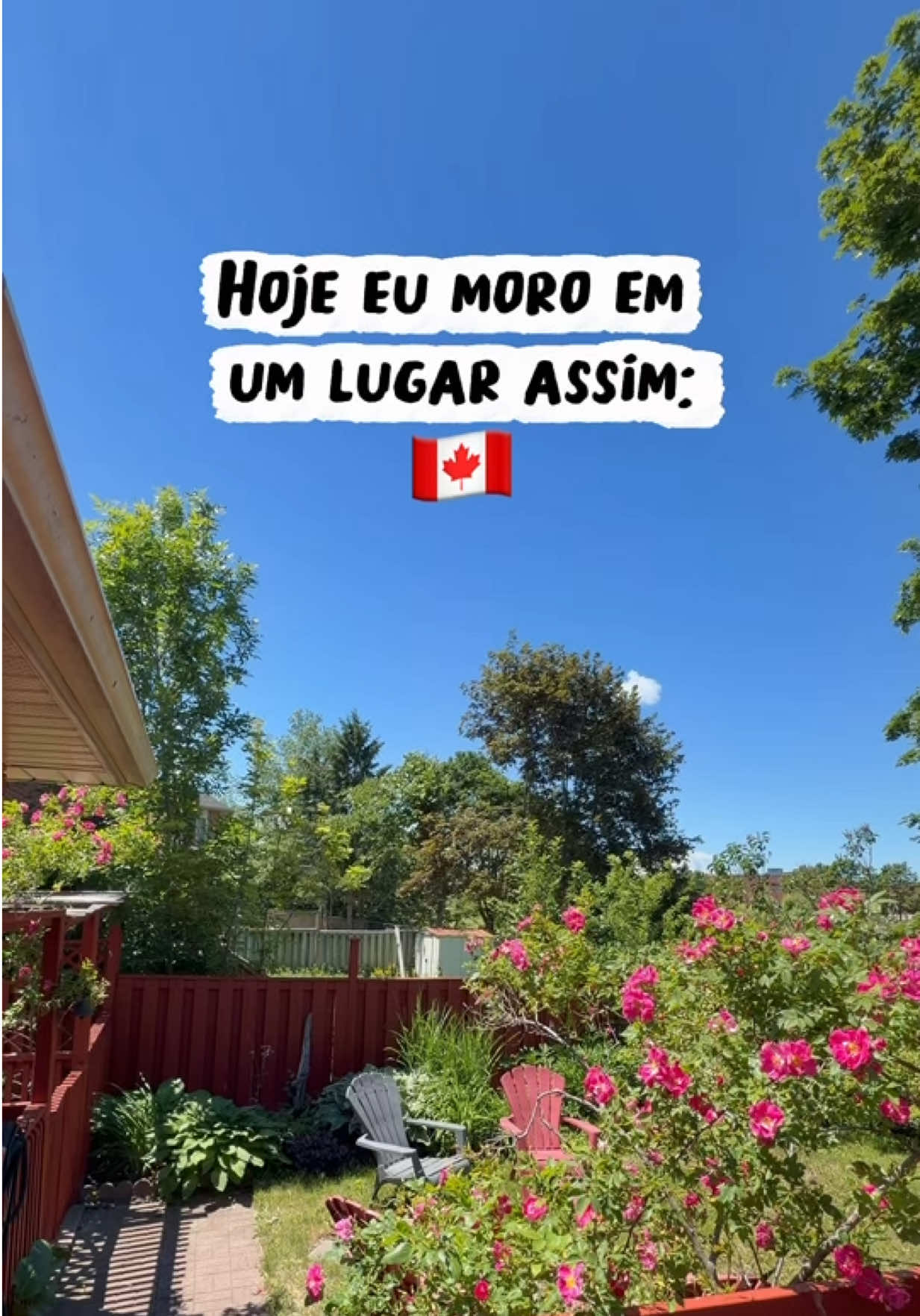 @Farofa de Maple