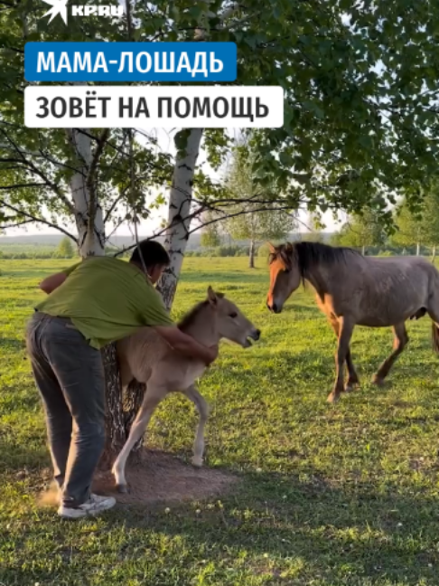 @kptok
