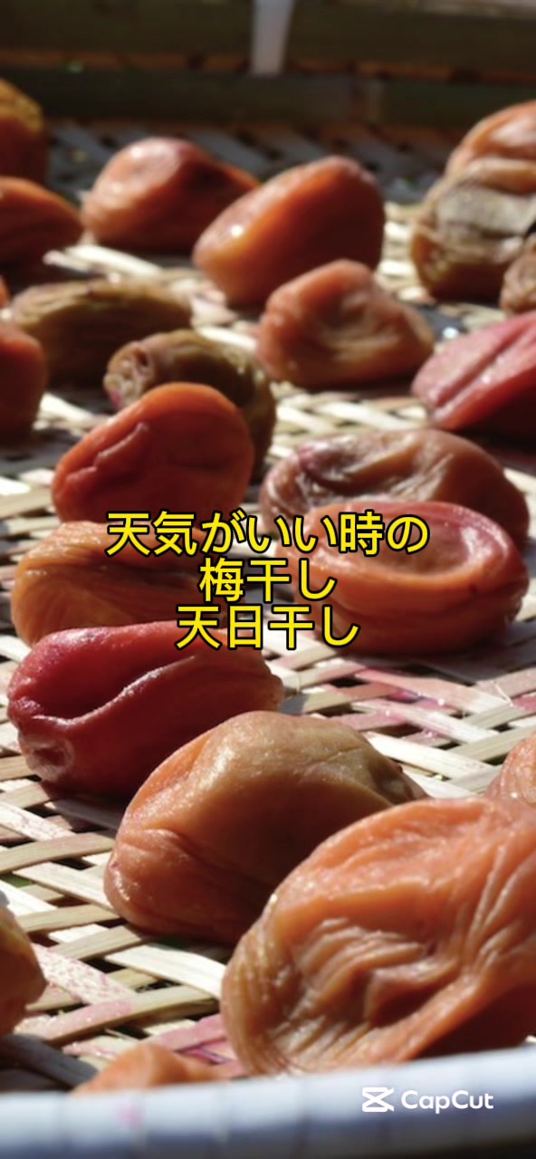 @マルン
