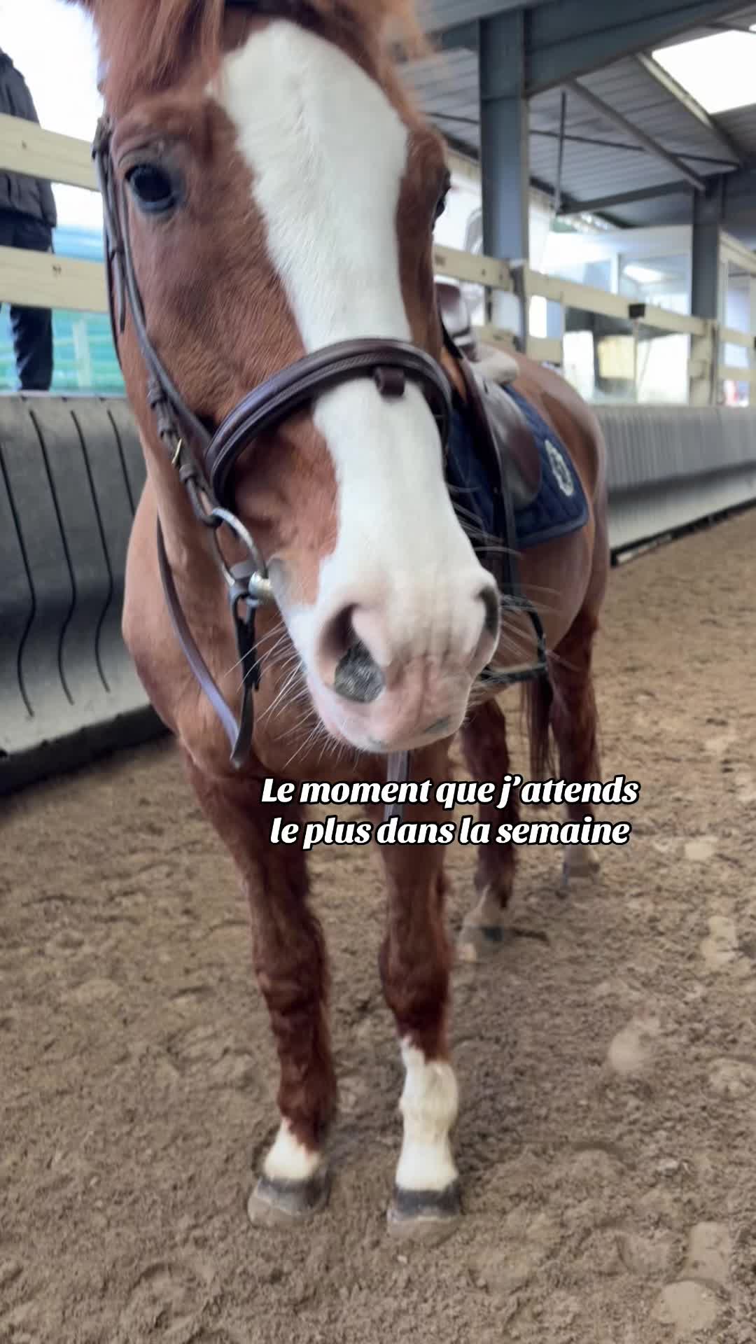 @💫Chloé💫