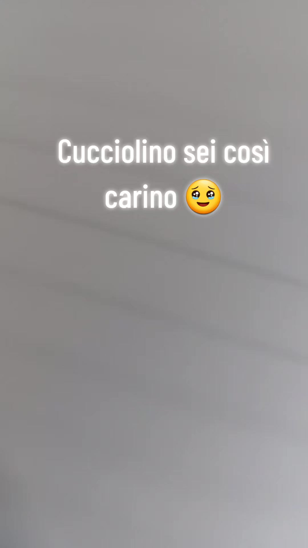 @Arianna stefanelli 🫶