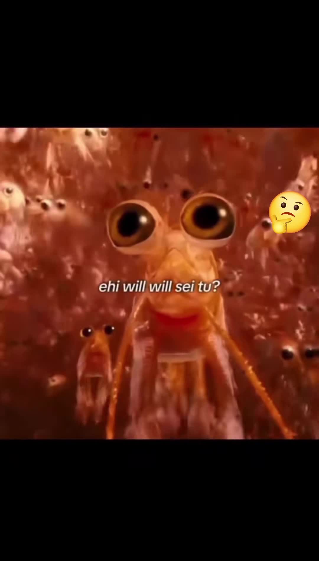 @SandroG.73