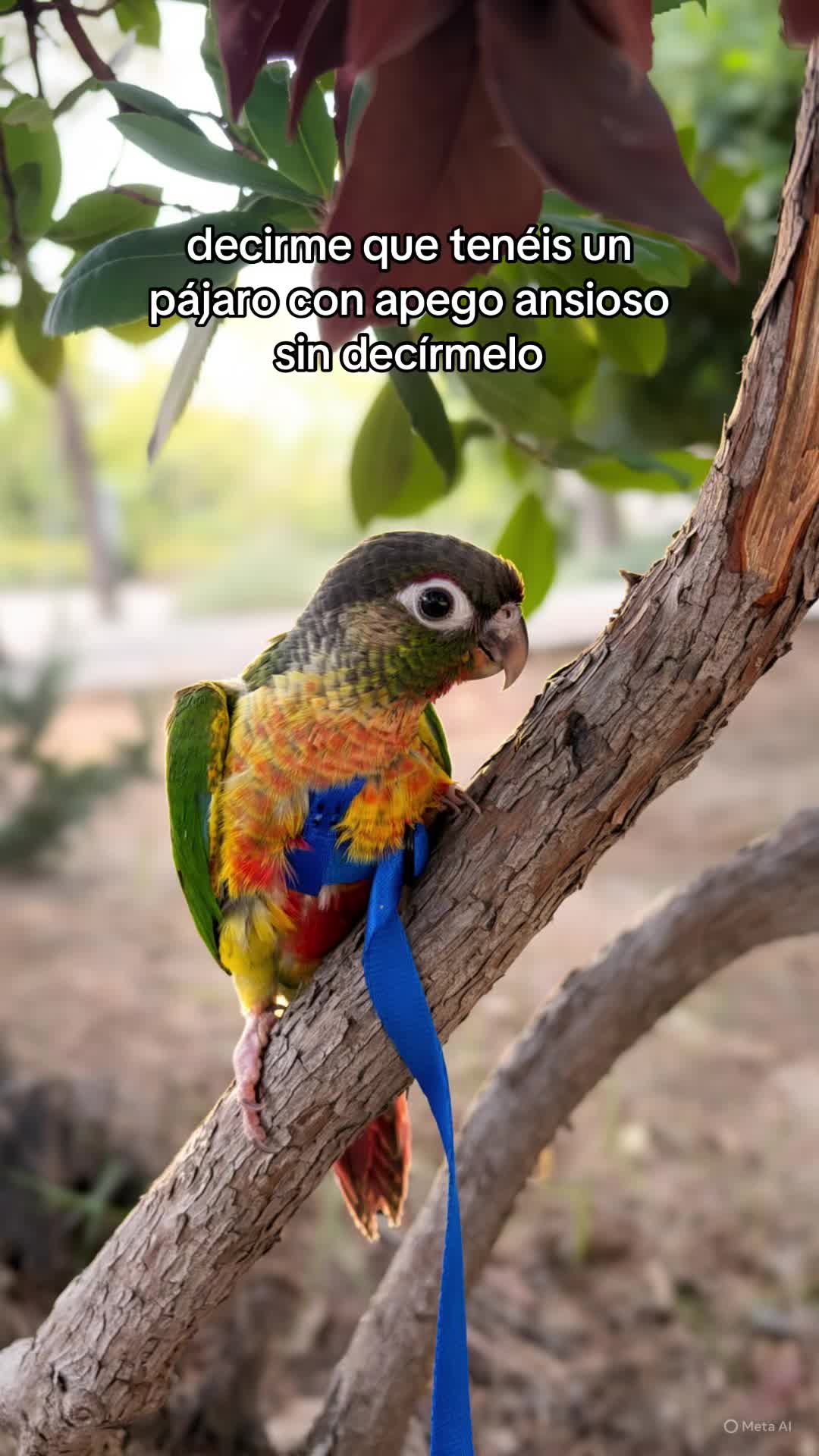 @Carla Basso