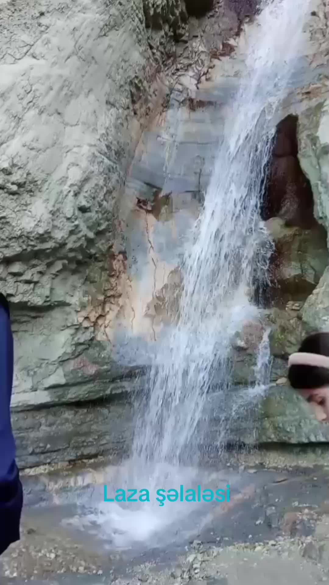 @ELXAN 531