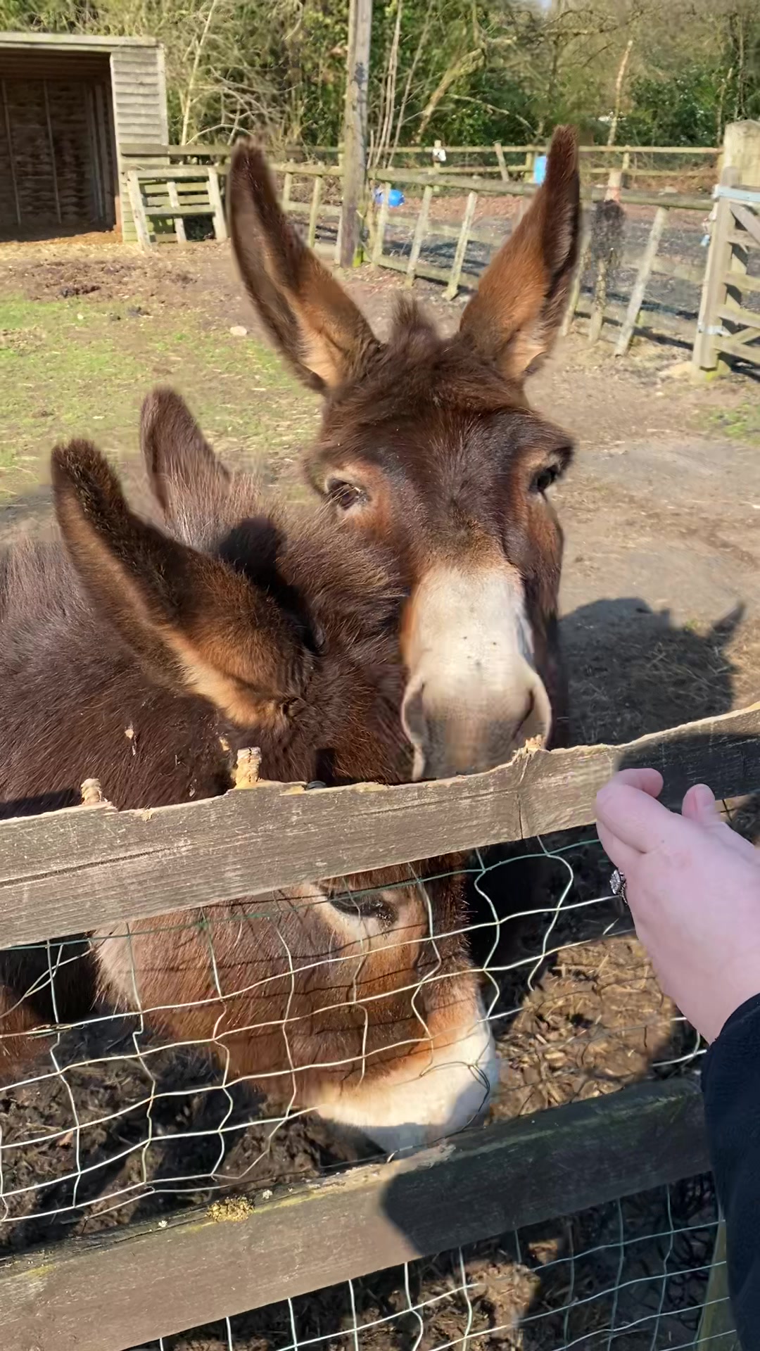 @Mummzy