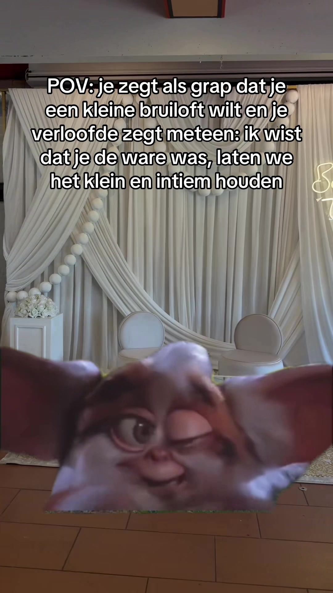 @flower.entrance.nl