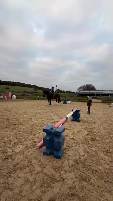 @Ruby🐴