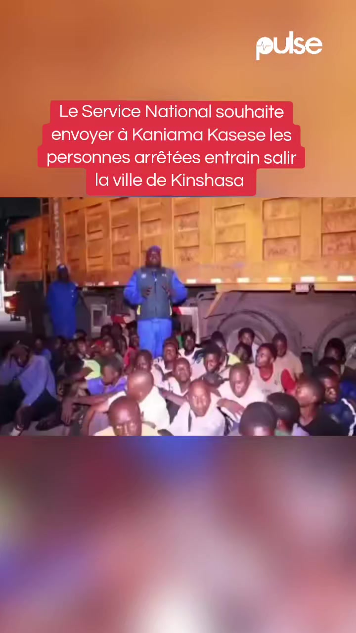 @Pulse Congo