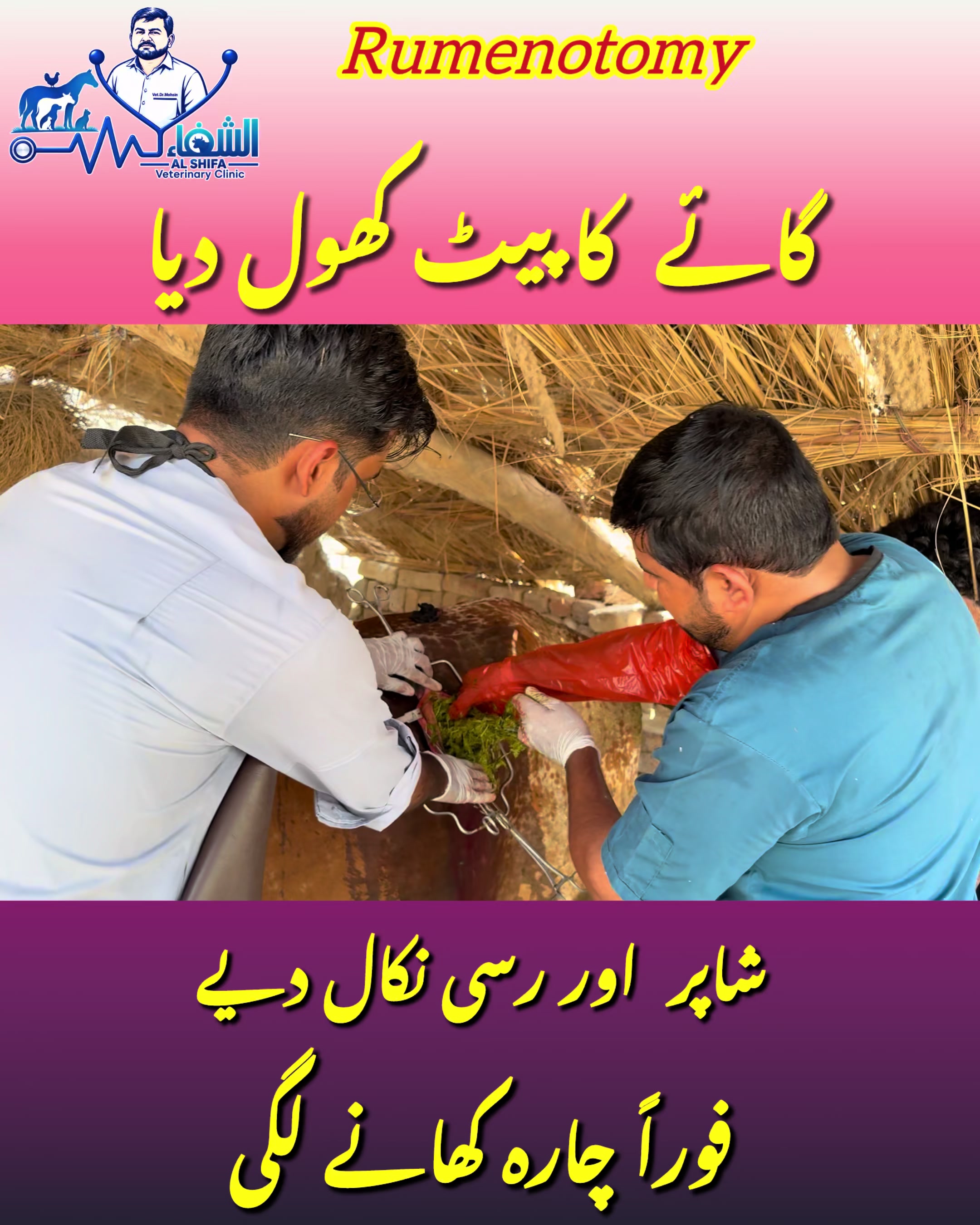 @vet.dr.mohsin4800