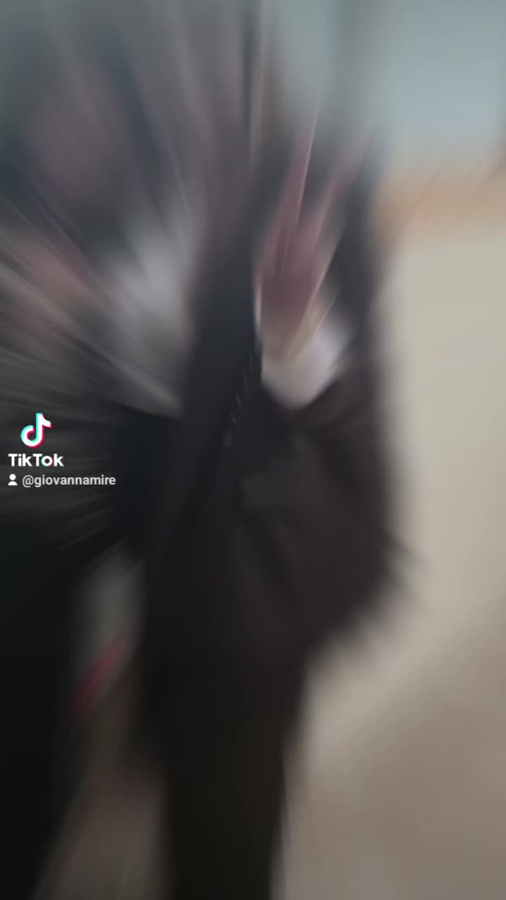 @❤️🌶️JÓ JÓ LA ₵₳Ⱡ₳฿ⱤɆ₴Ɇ 🌶️❤️