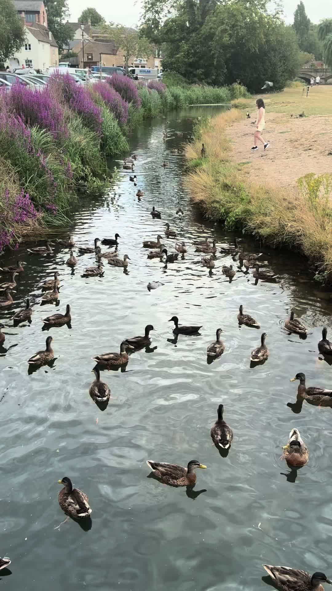 @chi789🧚🌞🌼🫶