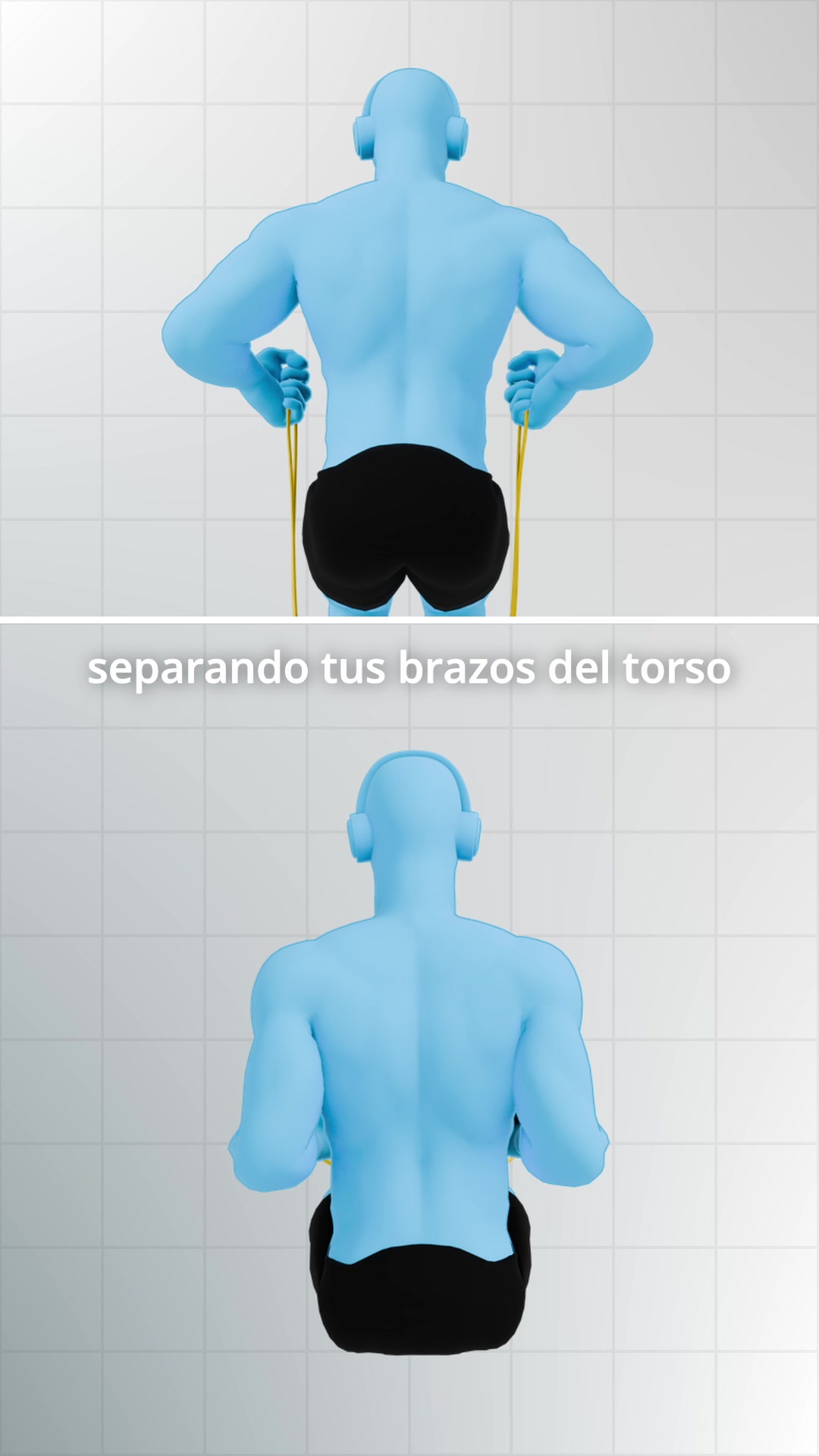 @Blue Gym Animation