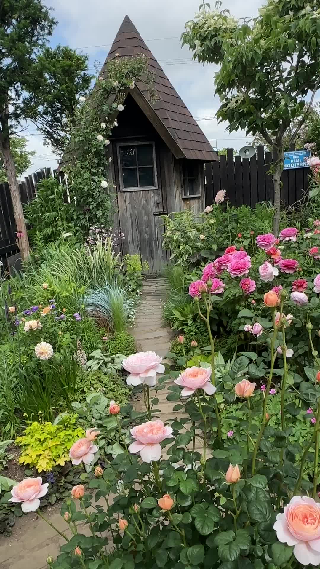 @flowerð¹ðžð¿