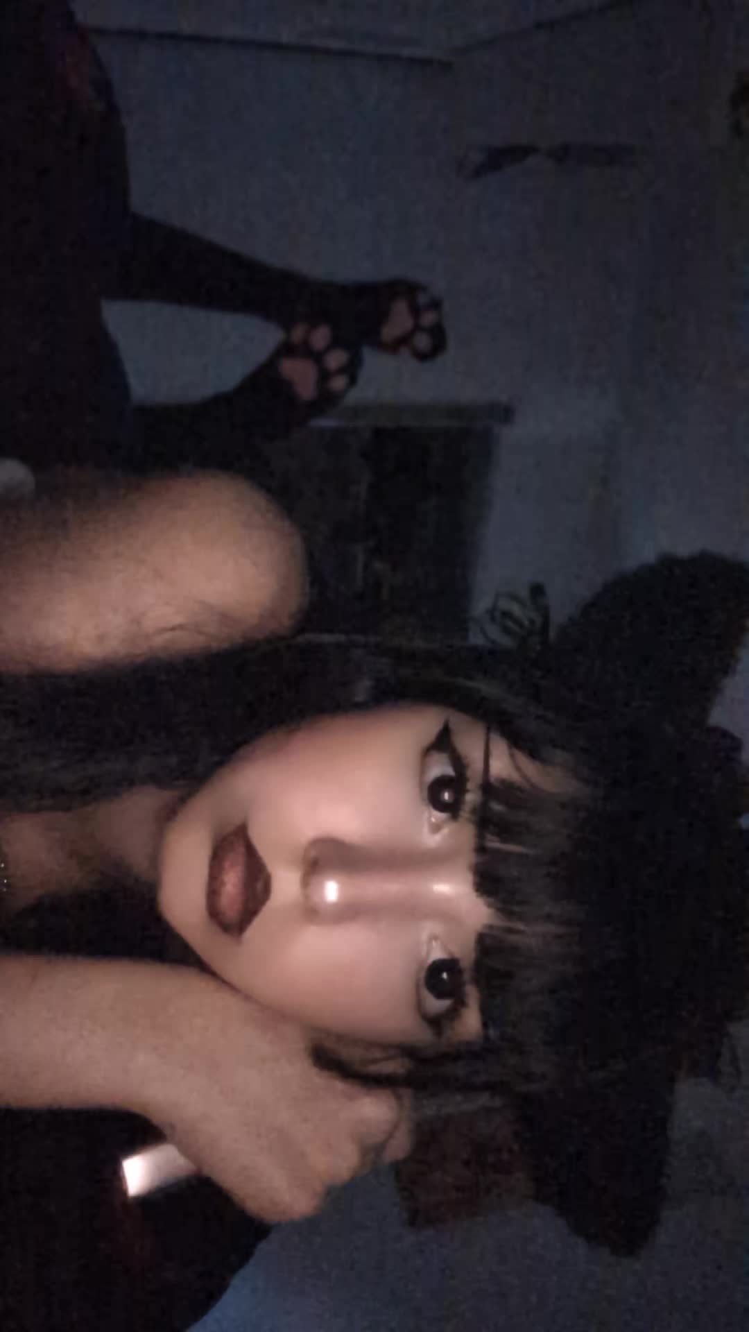 @Kathy🐾🩷