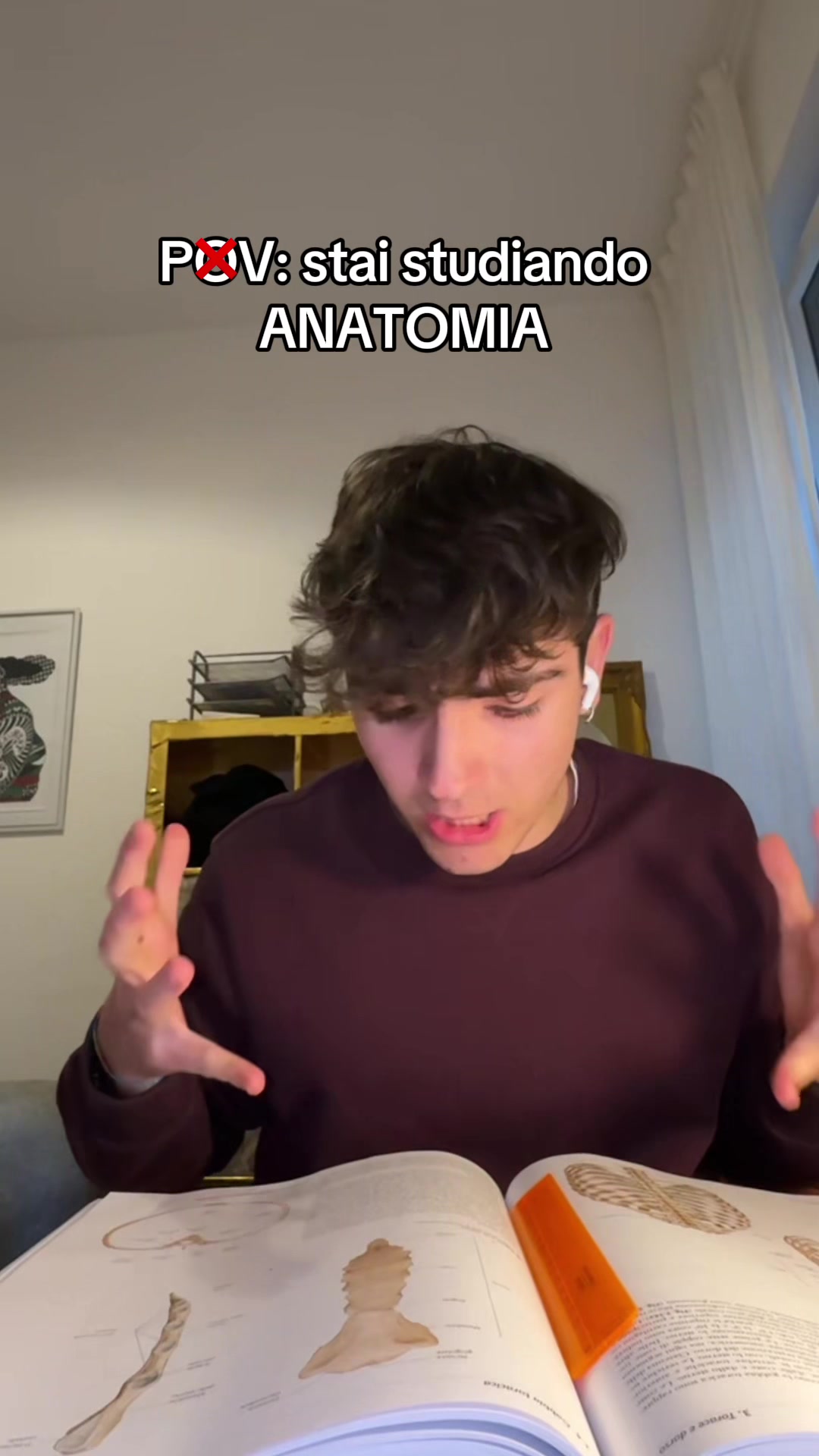 @Leonardo 🪼