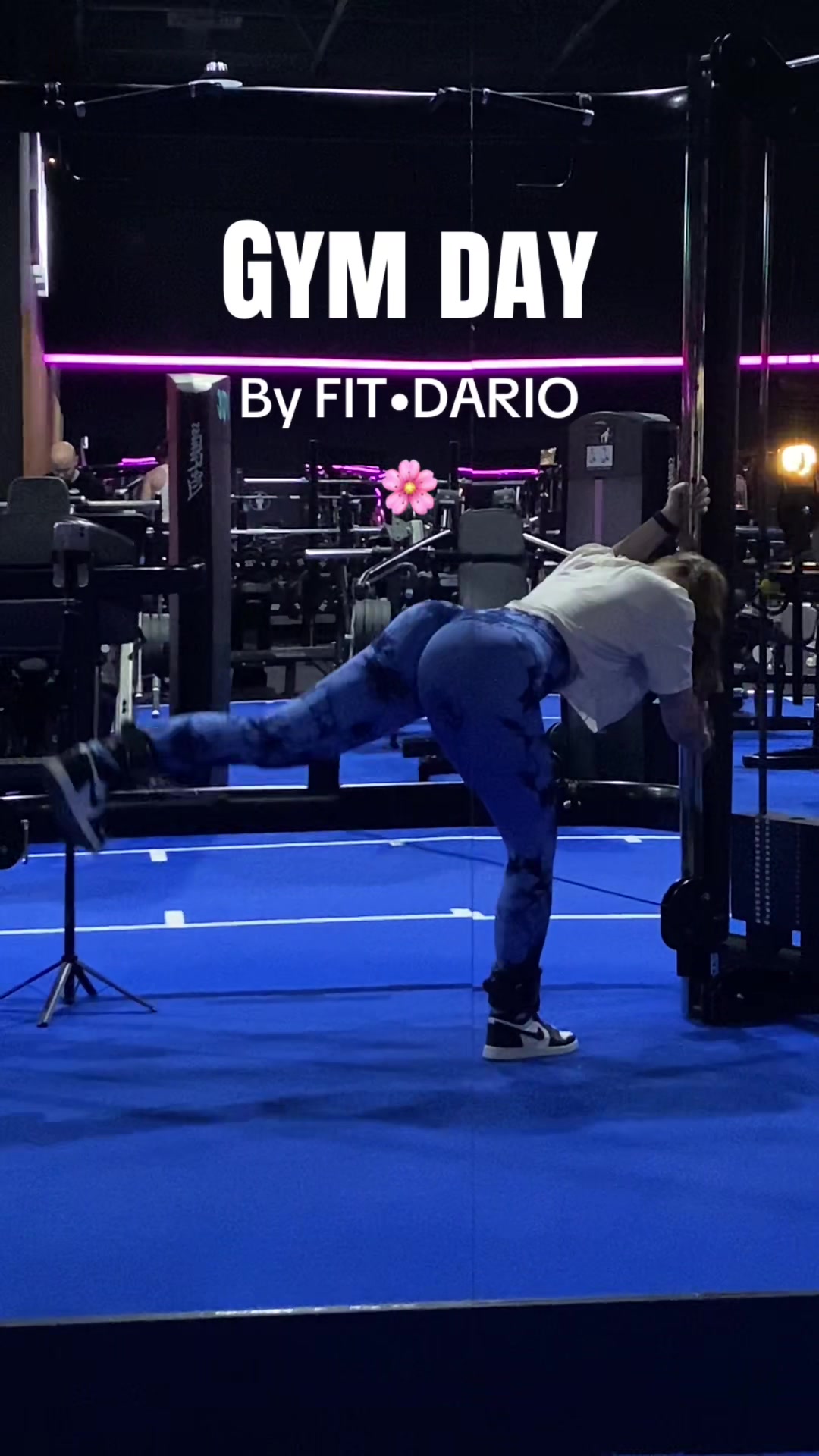 @FIT•DARIO